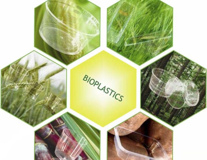 Bioplastics For Packaging Market