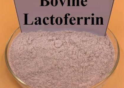 Bovine Lactoferrin Market