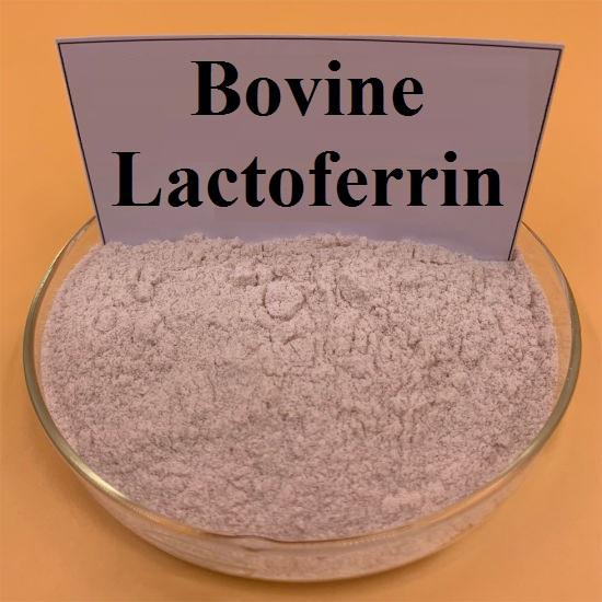 Bovine Lactoferrin Market