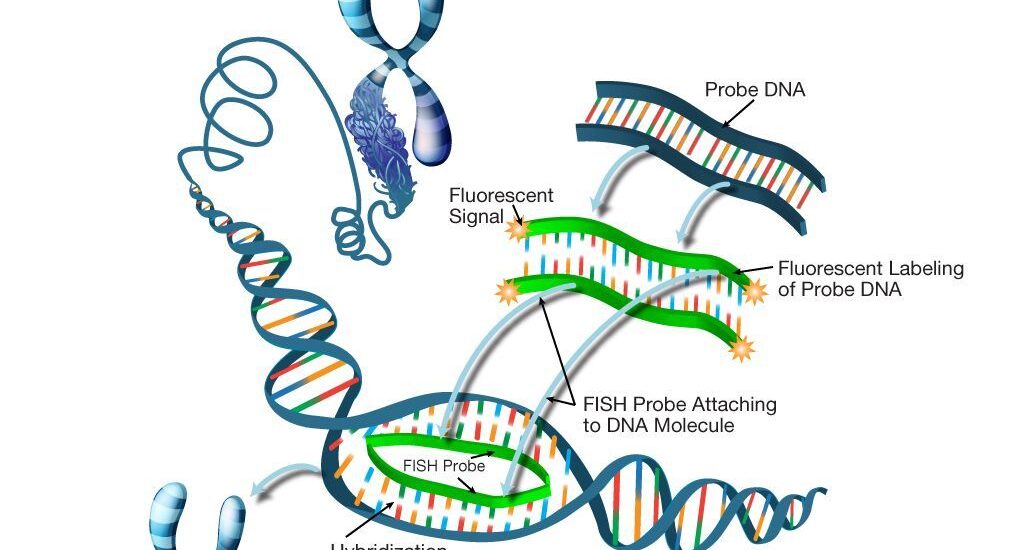 In Situ Hybridization Market