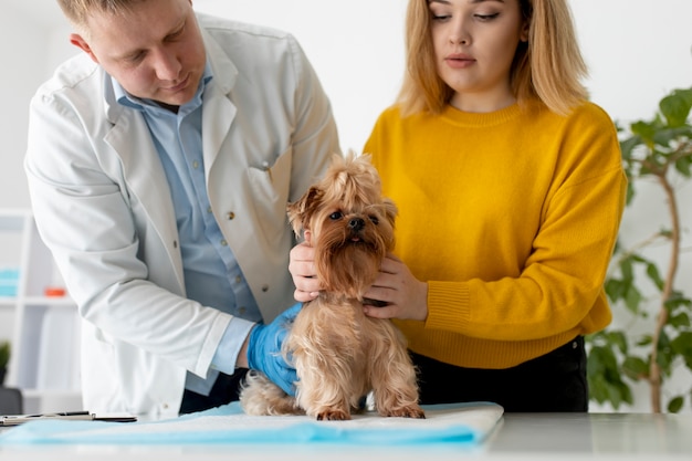 Pet Cancer Therapeutics Market