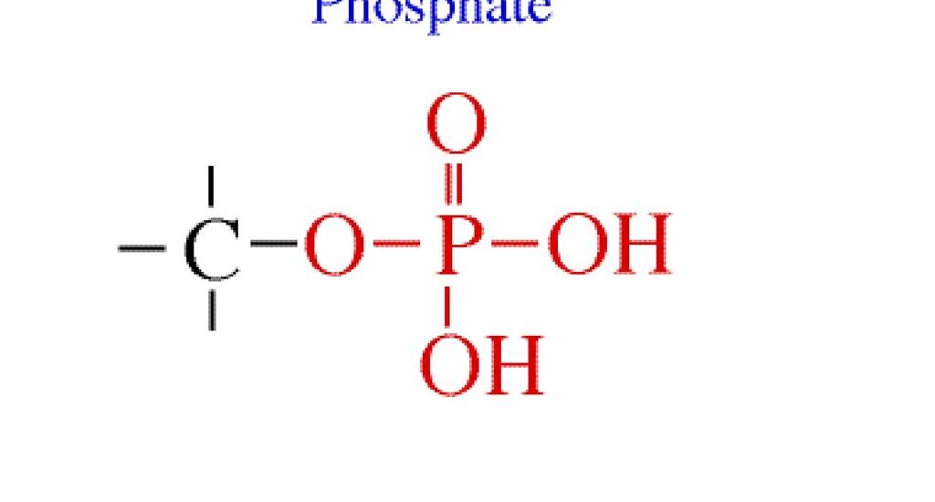 Phosphates Market