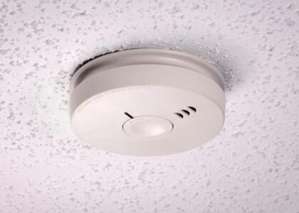 Smoke and Carbon Monoxide Alarm Market