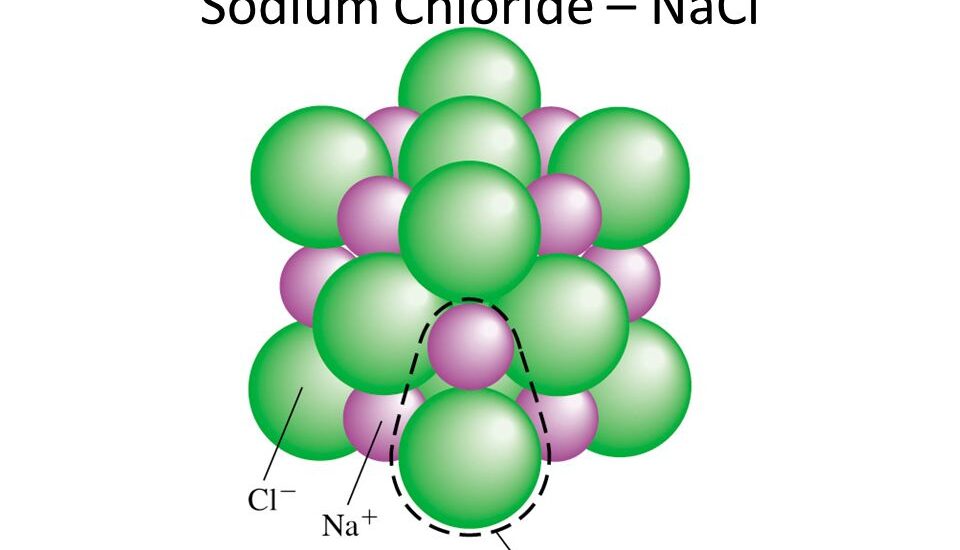 Sodium Chloride Market