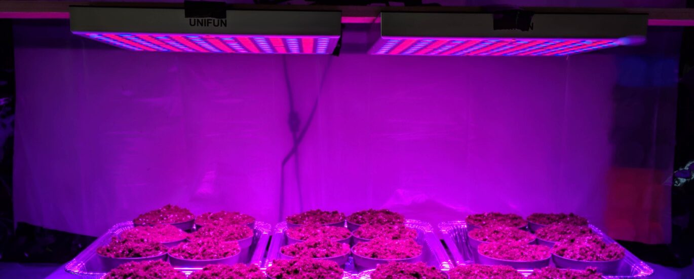 LED Grow Lights Market