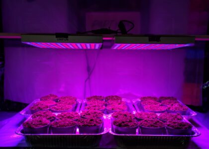 LED Grow Lights Market