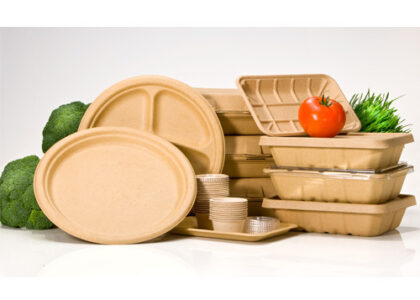 Biodegradable Disposable Tableware Market