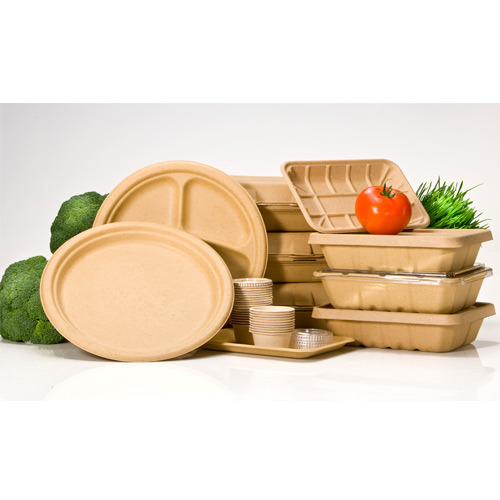 Biodegradable Disposable Tableware Market