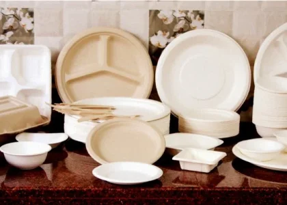 Bagasse Tableware Products Market