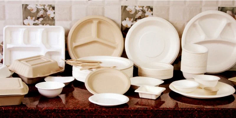 Bagasse Tableware Products Market