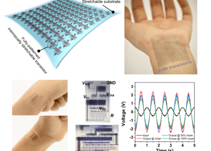 Stretchable Electronics Market