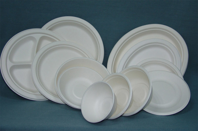 Bagasse Tableware Products Market