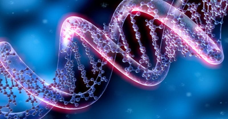 DNA Synthesis Market'