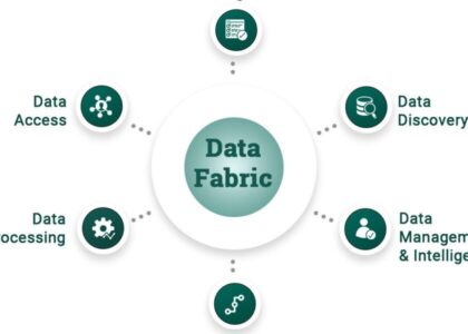 Data Fabric Market