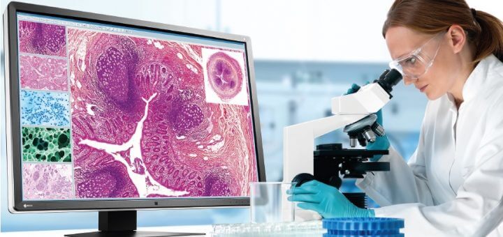 Digital Telepathology Market