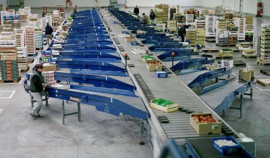 Food Sorting Machines Market