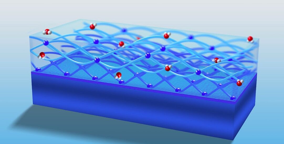 Hydrophilic Coating Market