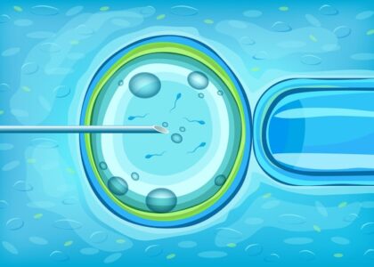 In Vitro Diagnostics Market