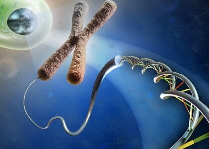 Molecular Cytogenetics Market