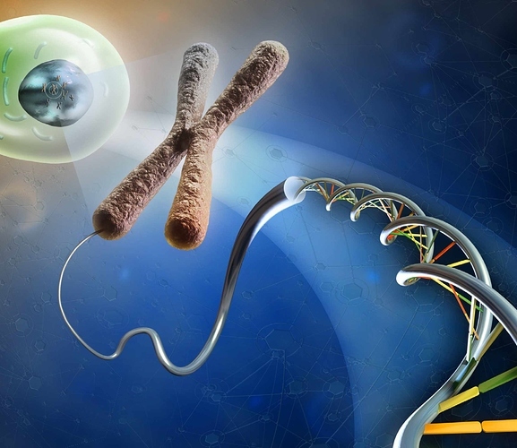 Molecular Cytogenetics Market