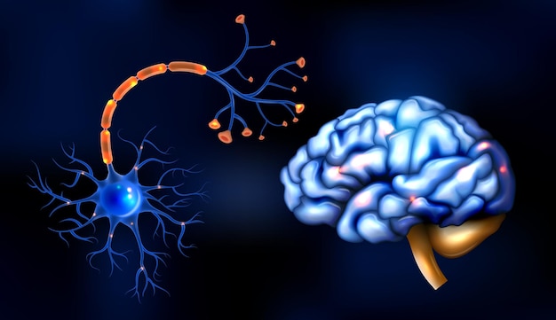 Neurodegenerative Disease Market