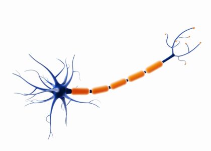 Neurotrophins Market