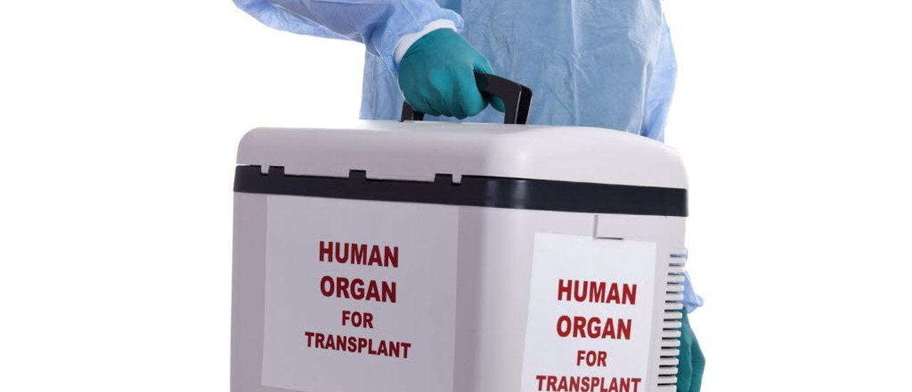 Organ Preservation Market