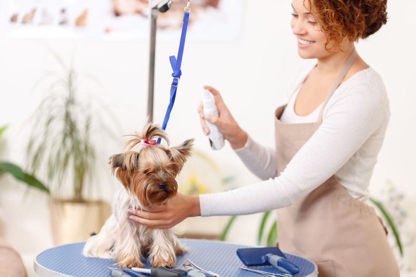 Pet Perfume Market