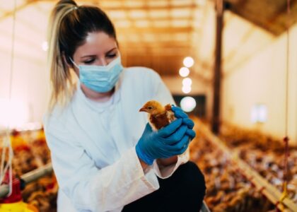 Poultry Diagnostic Testing Market