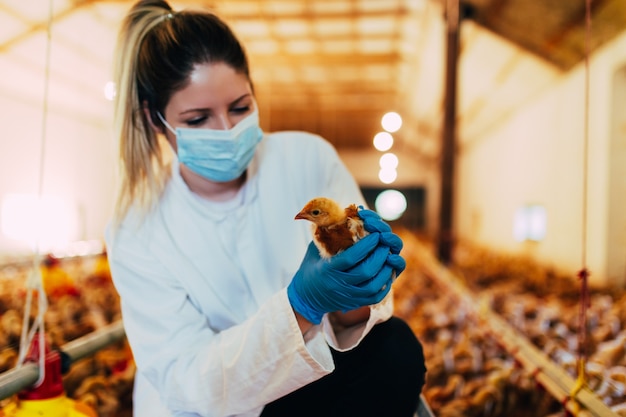 Poultry Diagnostic Testing Market