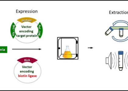 Protein Expression Technology Market