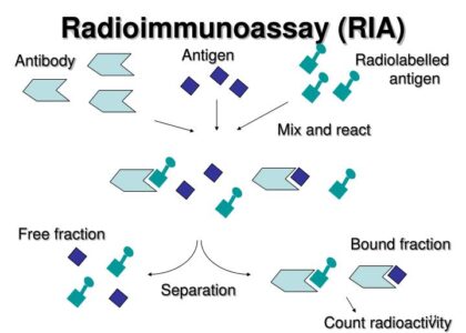 Radioimmunoassay Market