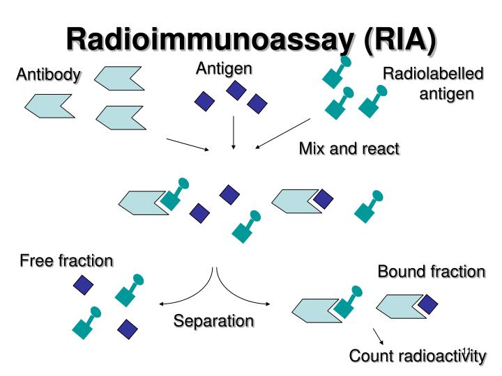 Radioimmunoassay Market