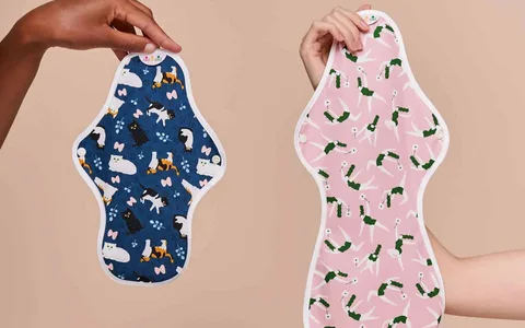 Reusable Sanitary Pads Market