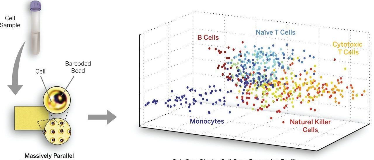 Single-Cell Analysis Systems Market