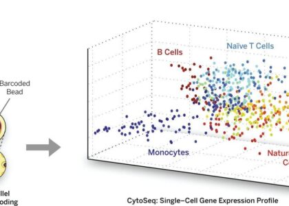 Single-Cell Analysis Systems Market