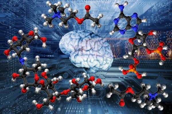 Global Small Molecule Innovator CDMO Market