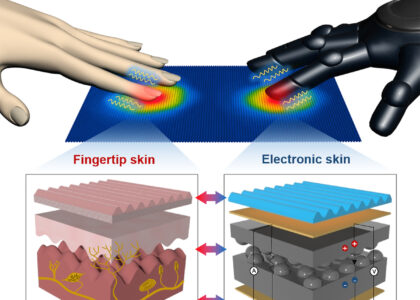 Electronic Skin Market