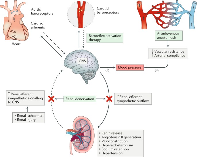 Treatment-Resistant Hypertension Management Market