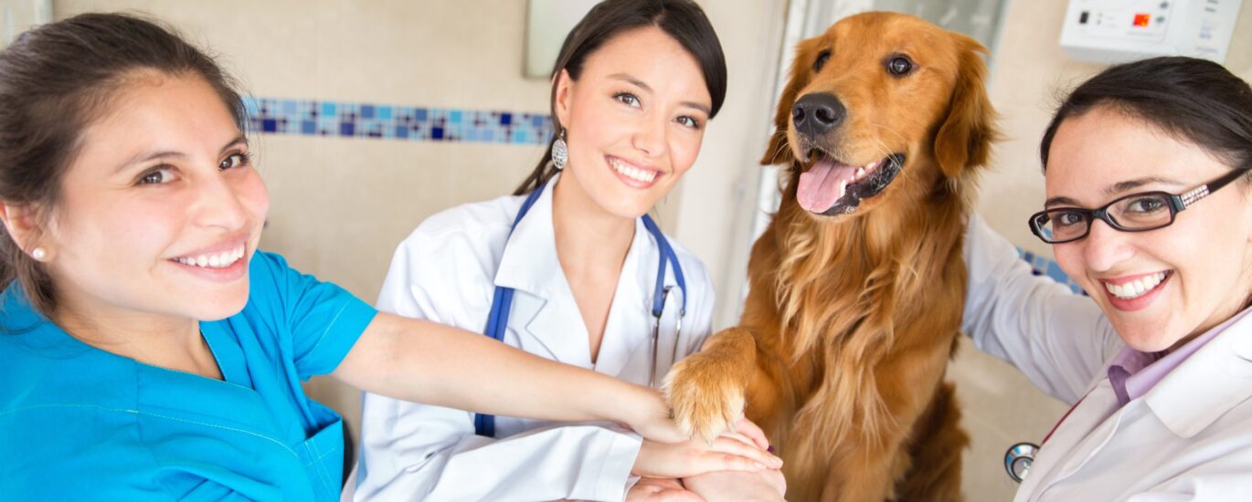 Veterinary Services Market