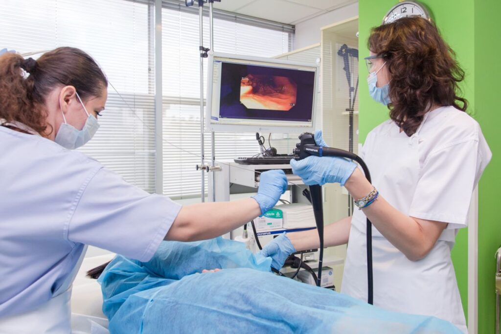 Veterinary Video Endoscopy Market