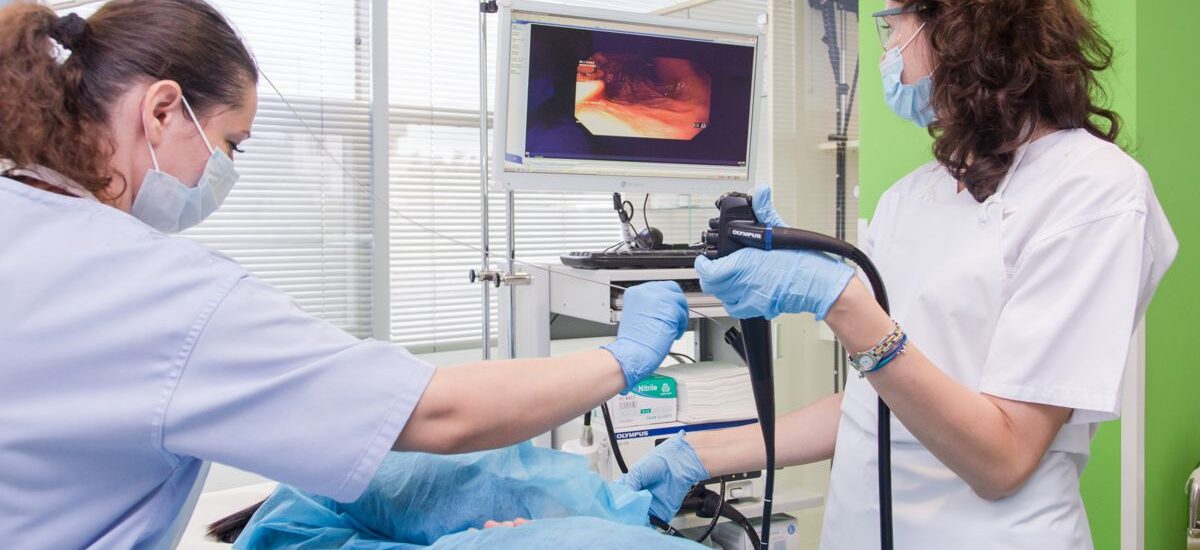 Veterinary Video Endoscopy Market