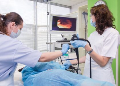 Veterinary Video Endoscopy Market