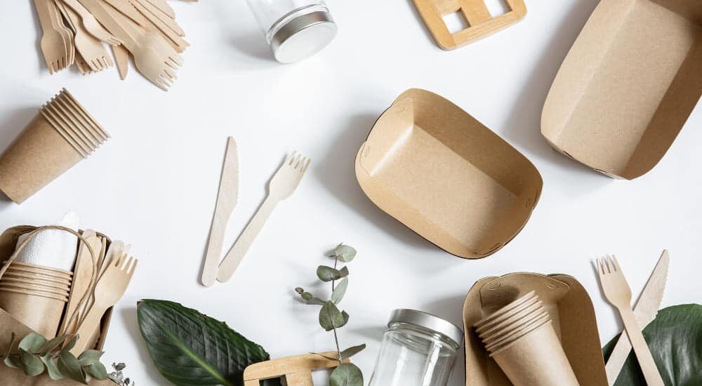 Biodegradable Disposable Tableware Market