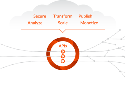 Cloud API And Management Platforms And Middleware Market