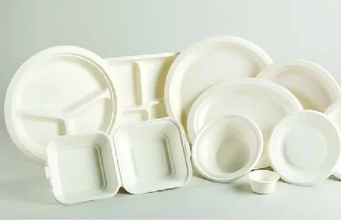 Bagasse Tableware Products Market