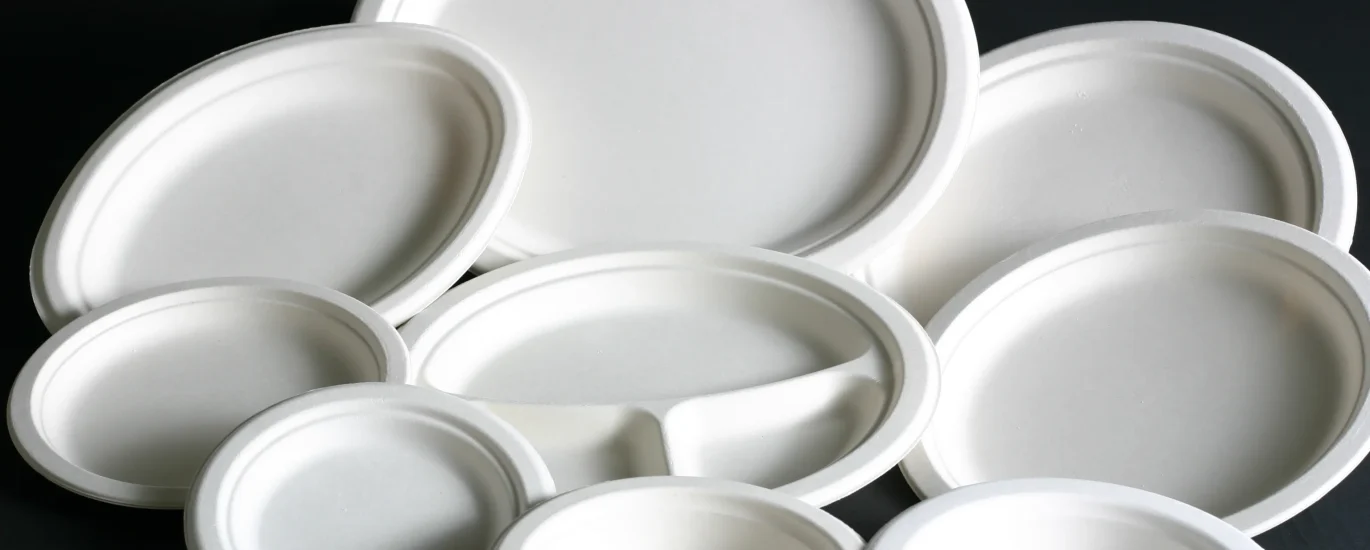 Disposable Plates Market