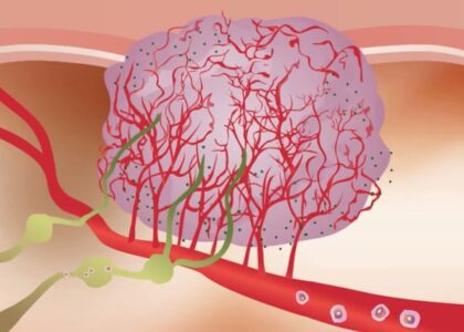 Angiogenesis Assays Market