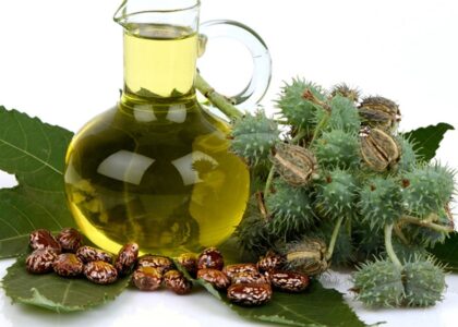 Castor Oil Derivatives Market