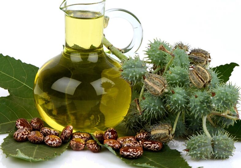 Castor Oil Derivatives Market